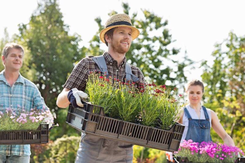 Johnnie Walker Insurance Providing Insurance for you since 1938